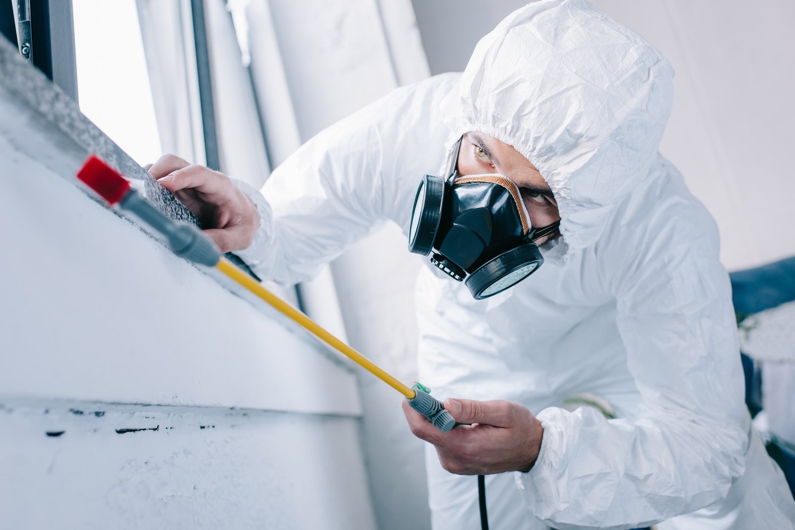 Pest inspections Long Beach