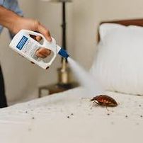 bed bug prevention spray