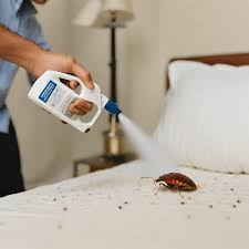 bed bug prevention spray