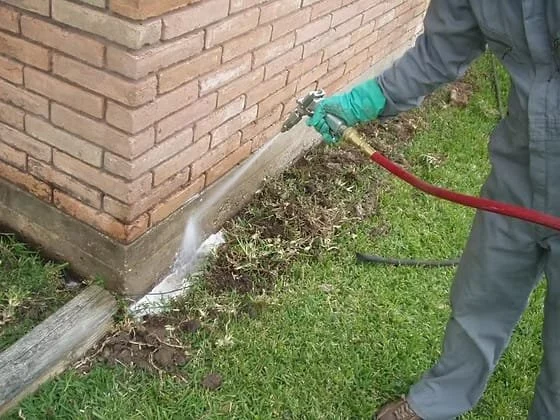 8C48BDD8 0393 4462 BA62 C3F561BC7DFF 1.webp