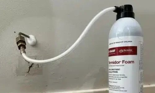 Untitled design 2025 05 20T120210.304