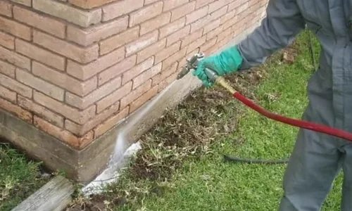 Untitled design 2025 05 20T120342.461