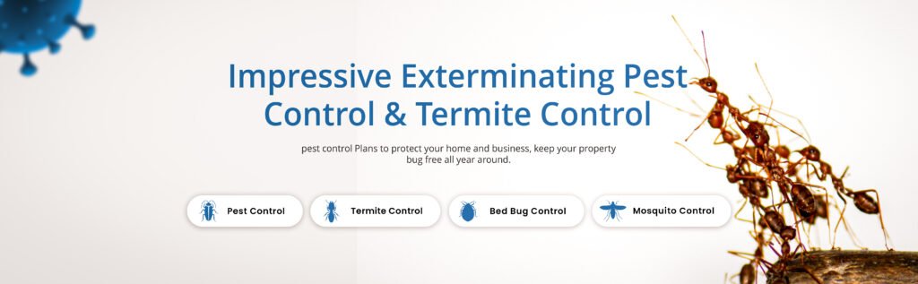 Affordable and reliable Pest control company in LA, Orange county