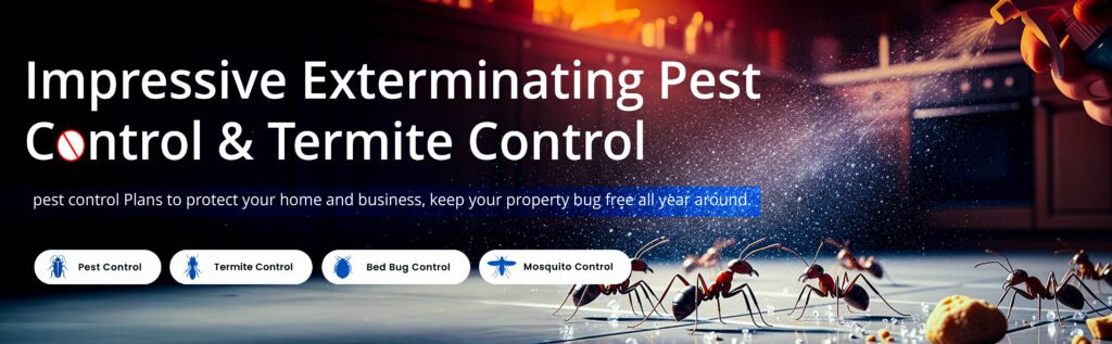 Pest and Termite Control in Los Angeles & Orange County – Impressive Exterminating