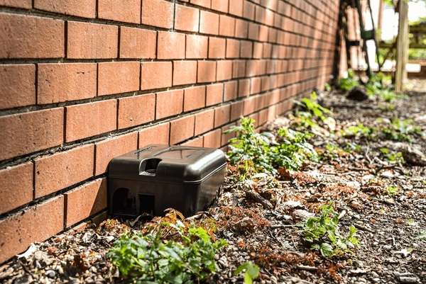 Rodent control traps and bait stations set up inside a Los Angeles County home.