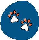 image (13)