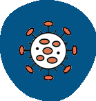 image (2)