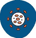 image (2)