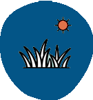 image (4)