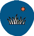 image (4)