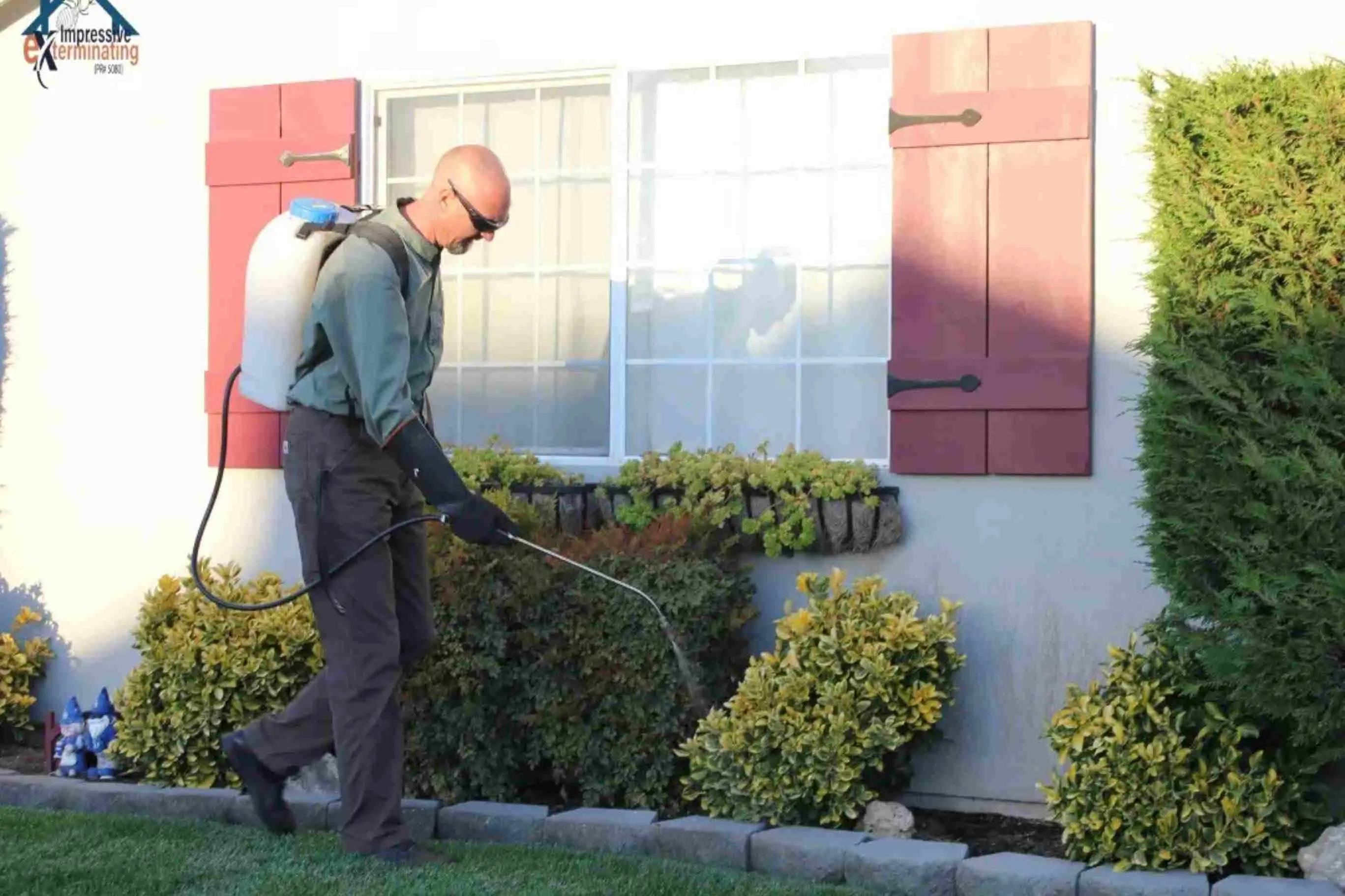 General Pest Control