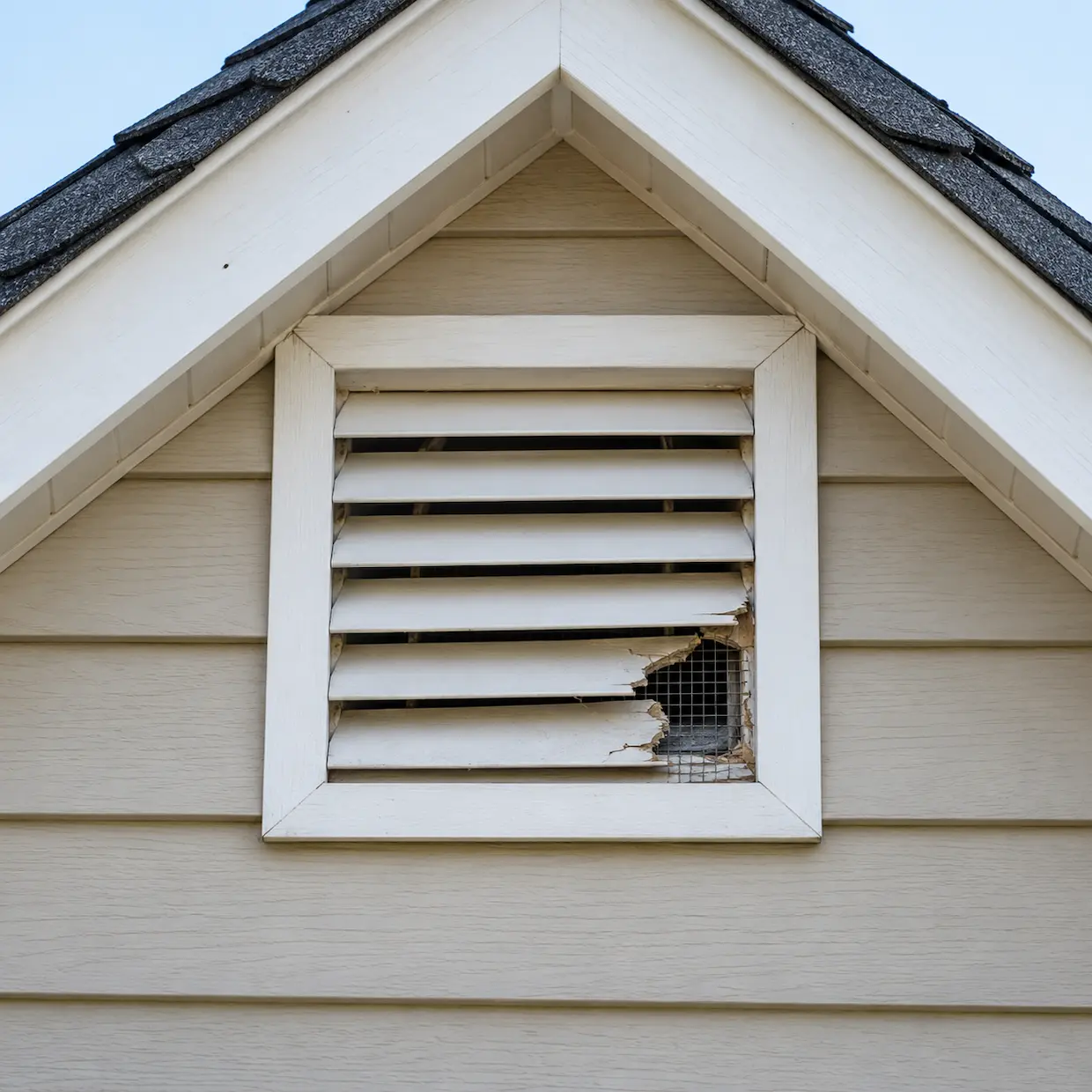 Cracked foundation beside a crawl space vent with damaged wire mesh.