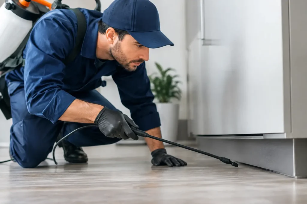 Rodent Control That Stops Problems at the Source